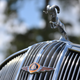 Illustration for article titled These Are The Hood Ornaments Of Pinehurst